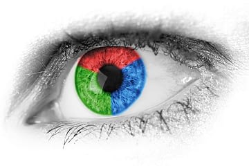 human eye with multi-color retina